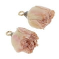 thumbnail image 3 of segolike 2 Pcs Pendentif Fleur Séchée en Résine Bijoux Breloques Pendentif pour Rose, 3 of 9