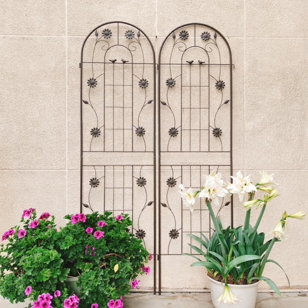 Tcbosik 2 Pack 71" x 19.7" Metal Climbing Trellis, Outdoor Trellis for Climbing Plants, Flower, Ivy, Clematis, Brown