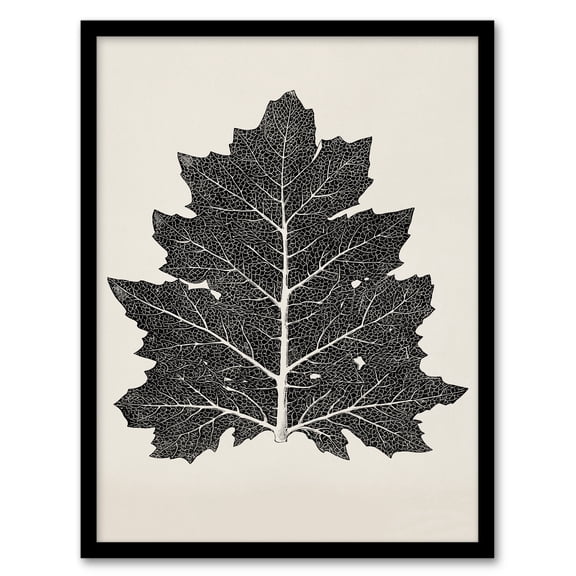 Artery8 Owen Jones Vintage Black and White Leaf Drawing Framed Wall Art Print Home Décor A4