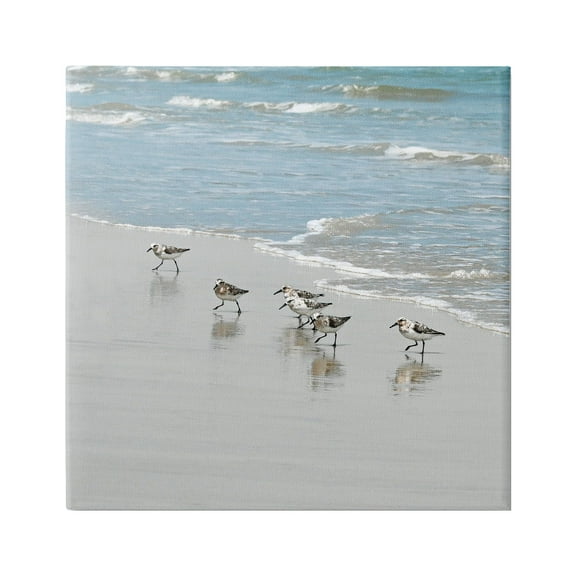 Stupell Industries Sandpipers on Shore Reflection Coastal Painting Gallery Wrapped Canvas Print Wall Art