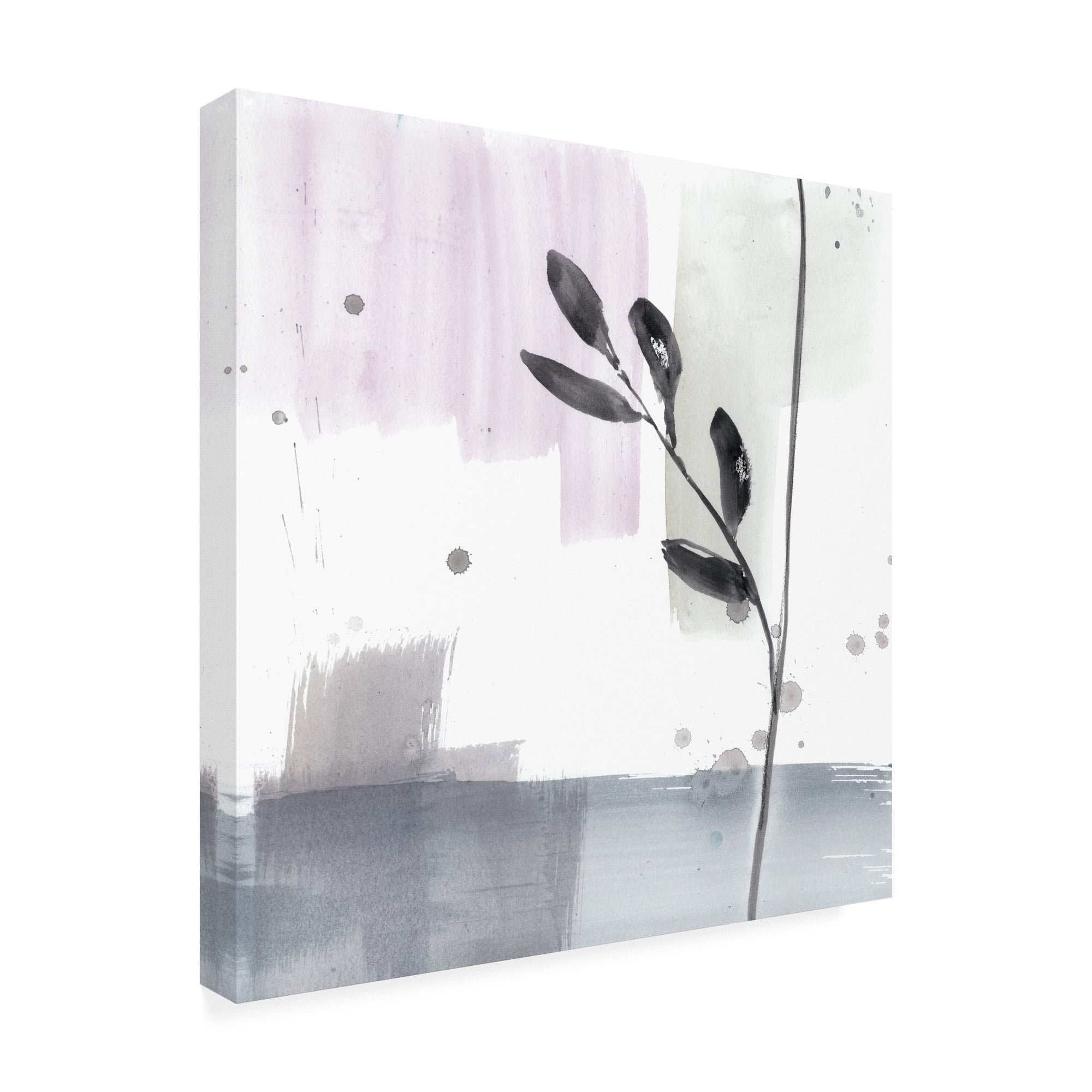 Trademark Fine Art 'UA CH Blush Flower Splash VIII' Canvas Art by Jennifer Goldberger