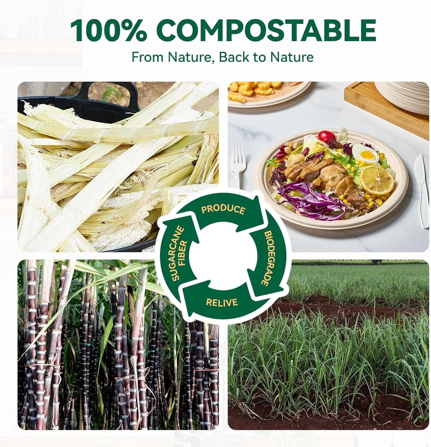 100% compostable paper plates, 150 pieces 9-inch heavy-duty plates, disposable use biodegradable eco-friendly sugarcane, bulk natural