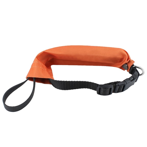 ROCKROK Dog Leash for Small Medium and Large Dogs Collar Automatic Retractable Leash