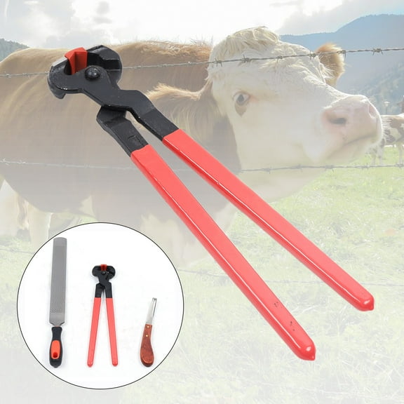 3 in 1 Horse Hoof Trimming Farrier Tool Kit Horseshoe File Rasp Cutter Knife 13.8*3in for Use On Farms, Horse Farms