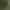 Olive Woodland, variant on Fly By Night Men’s and Big Men’s Command Camo Shorts, 7" Inseam, Sizes S-3XL