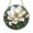 Acrylic 3.5 Inch, variant on Botanical magnolia stained glass inspired window art for bright interiors