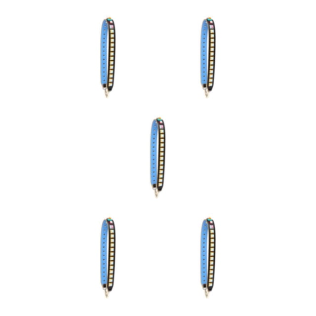Minnieouse Correas para bolso bandolera | De moda | Varios estilos Accesorios para bolsos Correa para bolso de hombro Negro con azul cielo Largo Type2 NO2