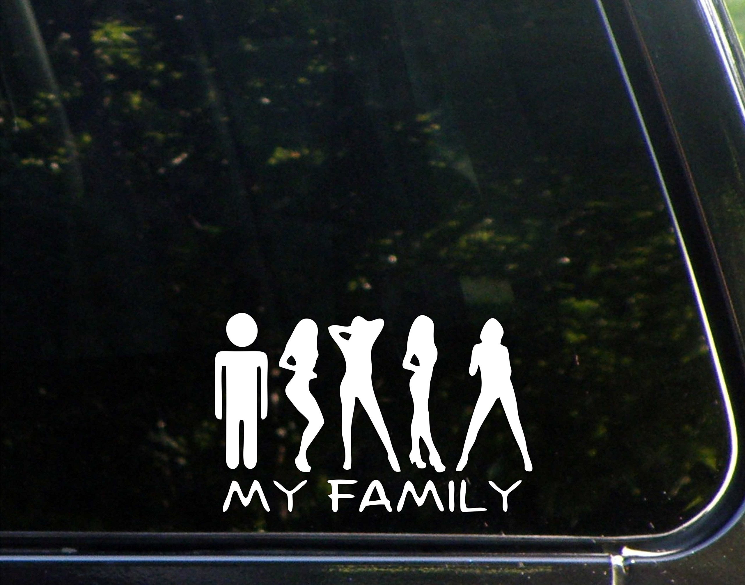 Handicap Love Graphic Die Cut decal sticker Car Truck Boat Window Laptop Wall 6/"