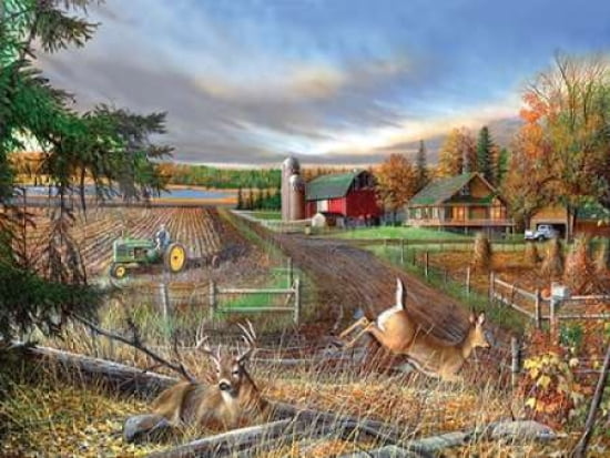 Dream Farm Canvas A