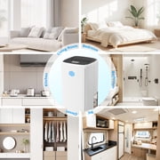 Breezome 37OZ Compact Dehumidifier for Home, Dehumidifiers with Auto Shutoff, Auto Defrost, Ultra-Quiet Energy Saving for Small Areas like Bathrooms, Closets, and RVs