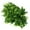 001_Multi-color, variant on Hxoliqit 30” Artificial Vine in Green Plastic Planter (2 Count)