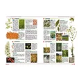thumbnail image 2 of Libro Las Hierbas Aromáticas - Saborizantes Y Saludables, 2 of 2