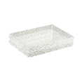 thumbnail image 2 of Shangren Ice Chilled Serving Tray Japanese Sushi Plate for Coffee Vegetable Breakfast L, 2 of 8