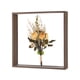 thumbnail image 1 of Marco de Flores Secas Uxcell, Marco de Sombra de Madera de 12 x 12 Pulgadas, Marco de Imagen de Acrílico Doble [Café], 1 of 1
