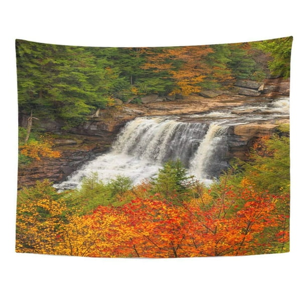 XDDJA Blackwater Falls West Virginia in Autumn Leaves Roaring