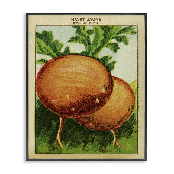 Stupell Industries Traditional Country Vintage Onions Black Framed Giclee Art, 11 x 14, by Lil' Rue