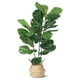 thumbnail image 1 of Yeshouse Ficus lyrata artificial de 99 cm (39 pulgadas), planta artificial en maceta con hojas realistas y tronco de madera natural, 1 of 7