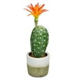 thumbnail image 1 of Vickerman FH192601 Pot de Fleurs en Plastique Cactus Vert 12 Po., 1 of 3