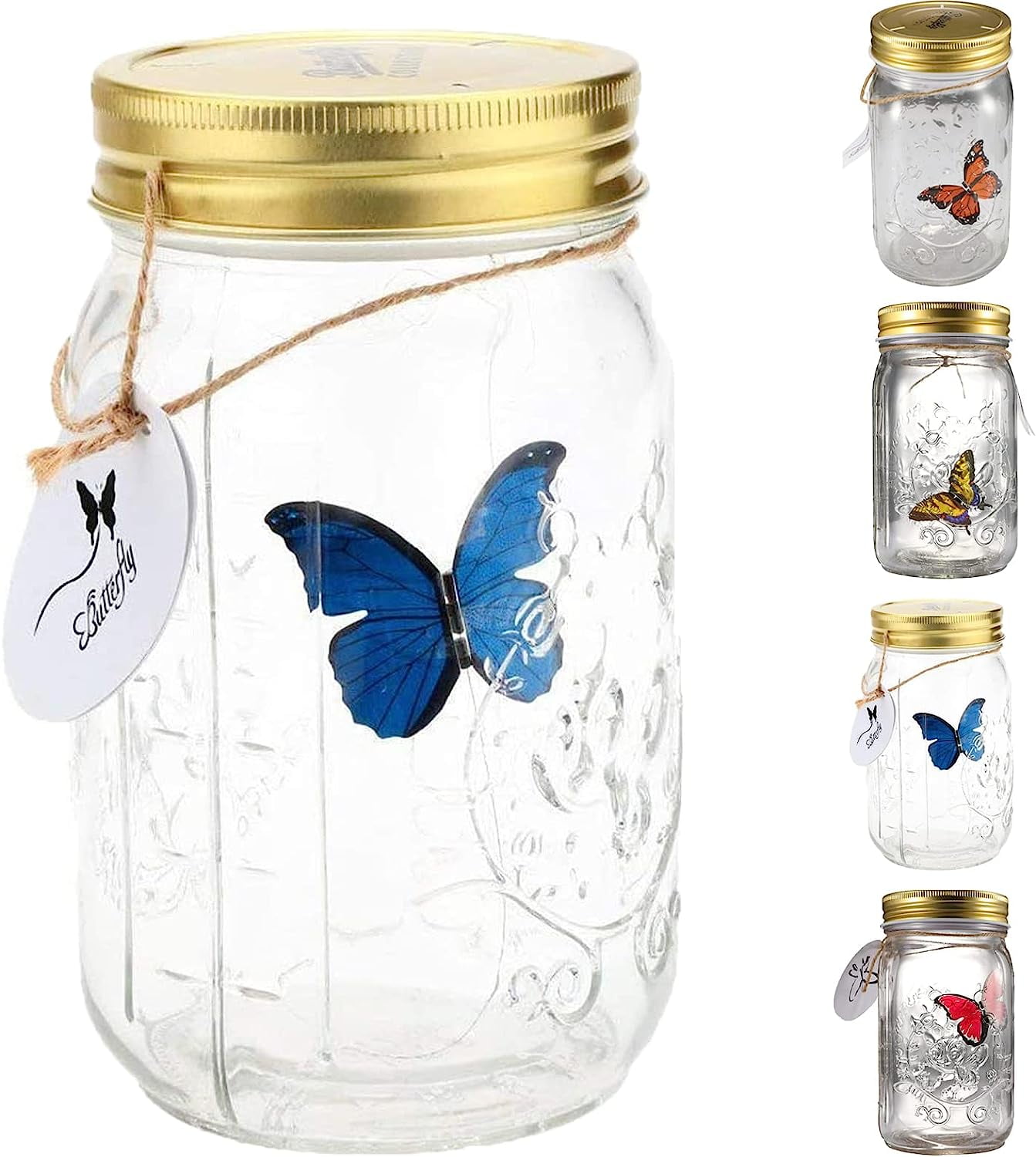 Butterfly Collection Jar, Butterfly in a Jar That Moves, Butterfly