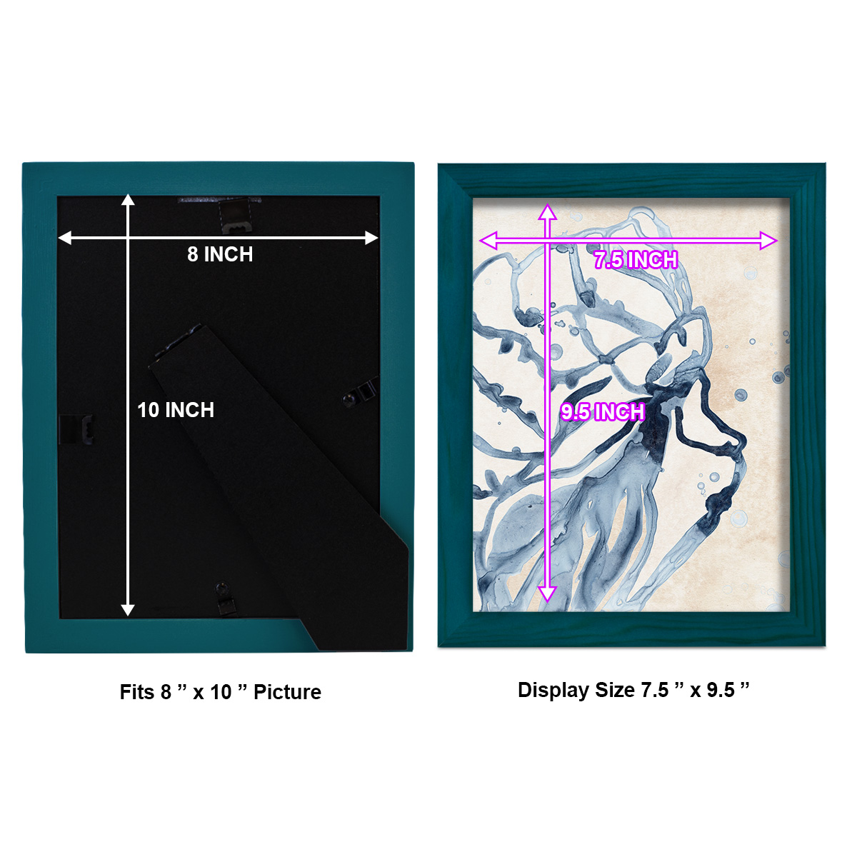 Water Shells I - Framed Print w/glass - Ocean Blue
