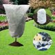 thumbnail image 1 of Paquete de 6 cubiertas para plantas con cordón de invierno, bolsa de protección para plantas cálida, cubiertas para plantas, protección contra la congelación fría (39,4 x 31,5 pulgadas), 1 of 5
