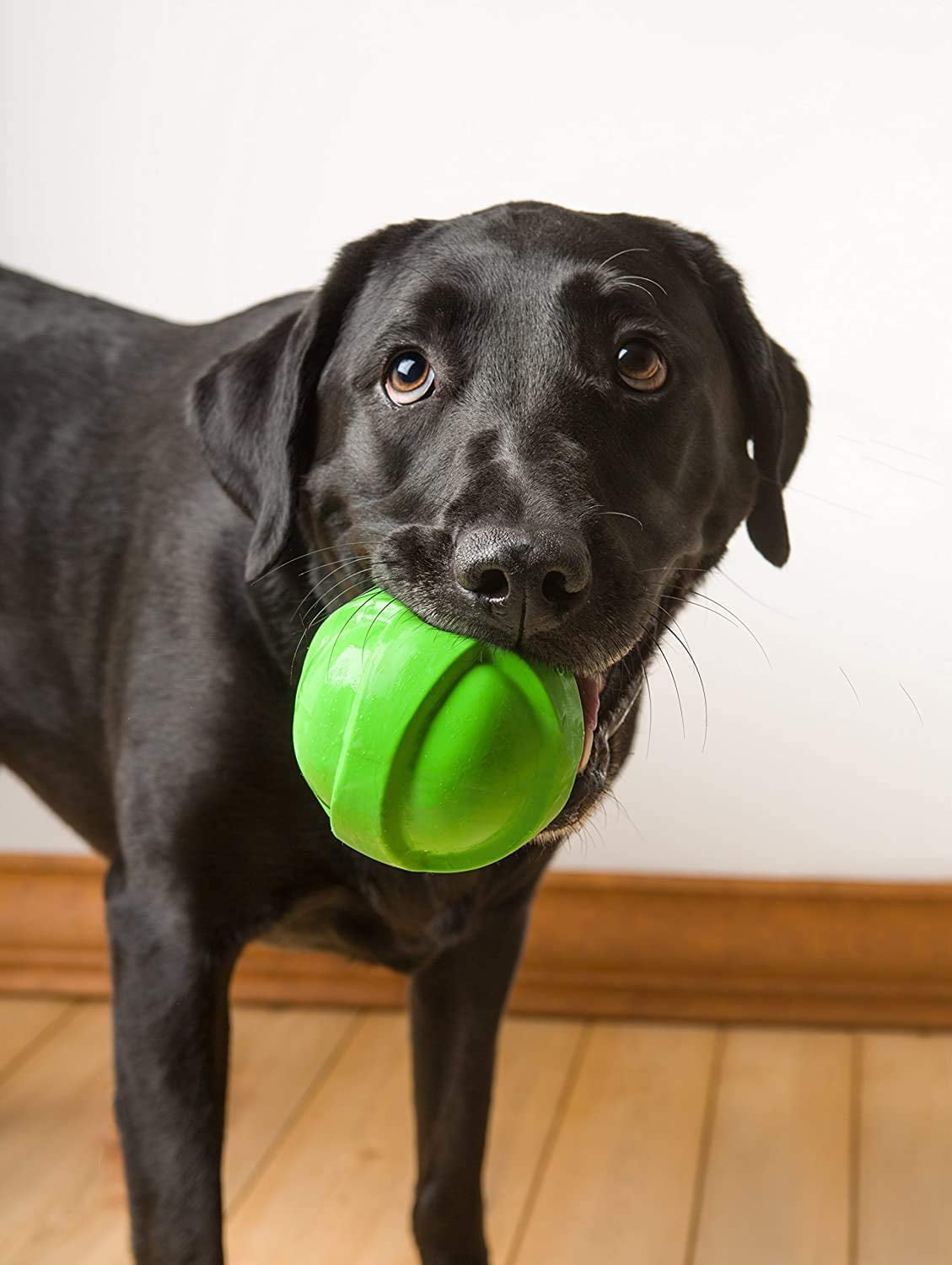 Hartz Dura Play Large Ball Dog Toy (Colors May Vary) (Pack of 2)