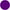 Purple, variant on TradeSmart Eye and Ear Protection for Shooting, NRR 28 with Hard Case