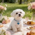 thumbnail image 5 of Aoznliie Dog Rhinestone Cat Collar, Adjustable Bling Crystal Pet Necklace with Heart Pendant for Small Medium Pets Party Wedding, 7.9-11.8 Inches, 5 of 6