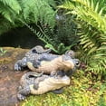 thumbnail image 5 of Homestyles Toad Hollow Lying Gator Home & Garden Alligator Beach Statue, 5 of 6