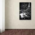 thumbnail image 3 of Trademark Fine Art 'Forms' Canvas Art by Philippe Sainte-Laudy, 3 of 3