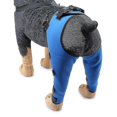 thumbnail image 3 of Double Rear Leg Protection Dog Knee Brace For Acl Knee Cap Dislocation Arthritis Keeps The Warm Extra Support Z, 3 of 5