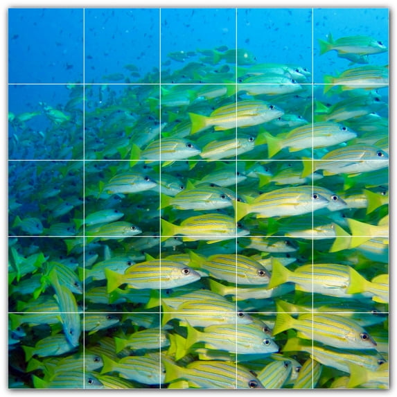 Picture-Tiles.com: Coral Ceramic Tile Wall Mural WAL500401-55M. 30"W x 30"H using (25) 6" x 6" Ceramic Tiles-Satin Finish