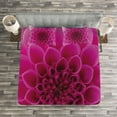 thumbnail image 3 of Ambesonne Floral Quilted Bedspread Set 3 Pcs, Fresh Bloom Petal Nature, Queen Size, Magenta, 3 of 3