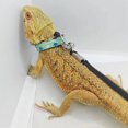 thumbnail image 4 of Lizard Leash Exquisitely Made Pet Leash 1 Set Lizard Leash with Adjustable Traction Rope Comfortable Reptile Collar for Outdoor Adventures, 4 of 7