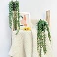 thumbnail image 6 of DefiDgd Faux Plant Succulent Hanging String Pearls Plants,for Home Kitchen Office Wedding Garden Indoor Decor, 6 of 9