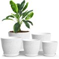 thumbnail image 1 of Macetas Utopia Home de plástico para interiores con drenaje, paquete de 5 unidades, 1 of 6