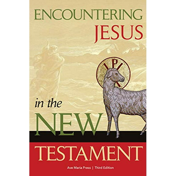 Pre-Owned Encountering Jesus in the New Testament (Paperback) 1594719497 9781594719493