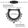 thumbnail image 5 of Briana Williams 16G Nose Ring Crystal Clicker Septum Piercing Jewelry Stainless Steel Horseshoe Barbell, 5 of 5