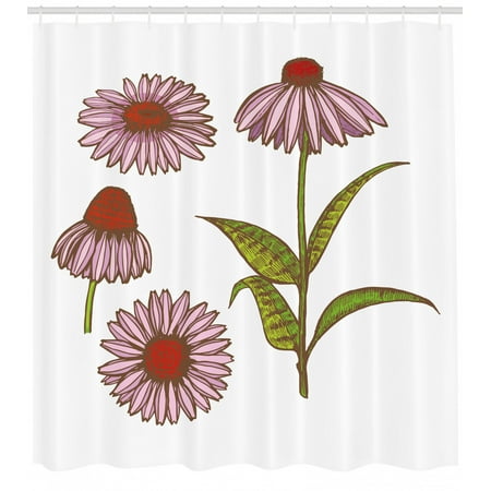 Apothecary Shower Curtain Coneflower Homeopathic Extract Ayurveda