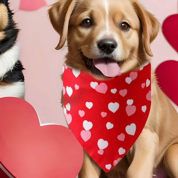 Dog valentine bandana sale