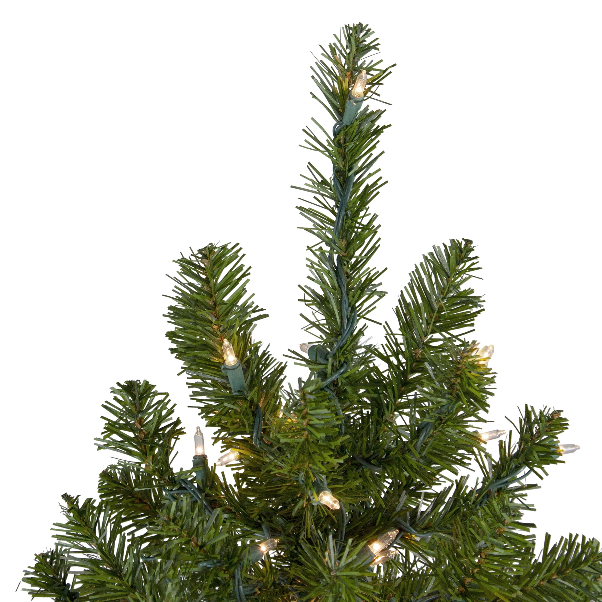 Northlight Clear Prelit Incandescent Green Full Canadian Pine Artificial Christmas Tree, 6'