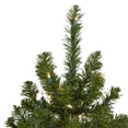 thumbnail image 3 of Northlight Clear Prelit Incandescent Green Full Canadian Pine Artificial Christmas Tree, 6', 3 of 7