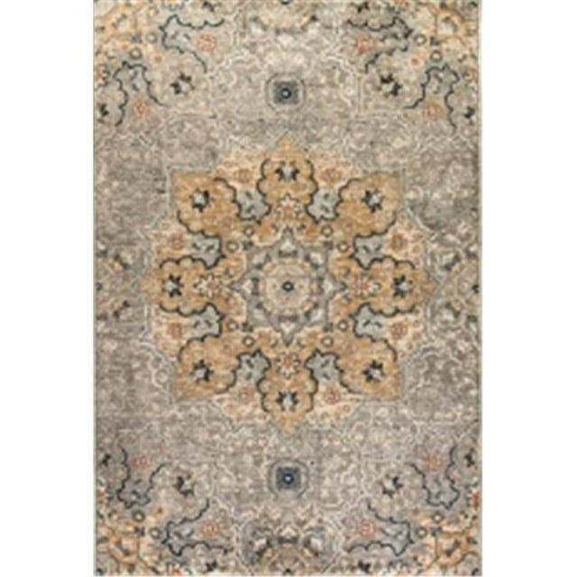 Dynamic Rugs EV464772510 Tapis Evolution, Gris Clair - 3.11 x 5.7 Po.