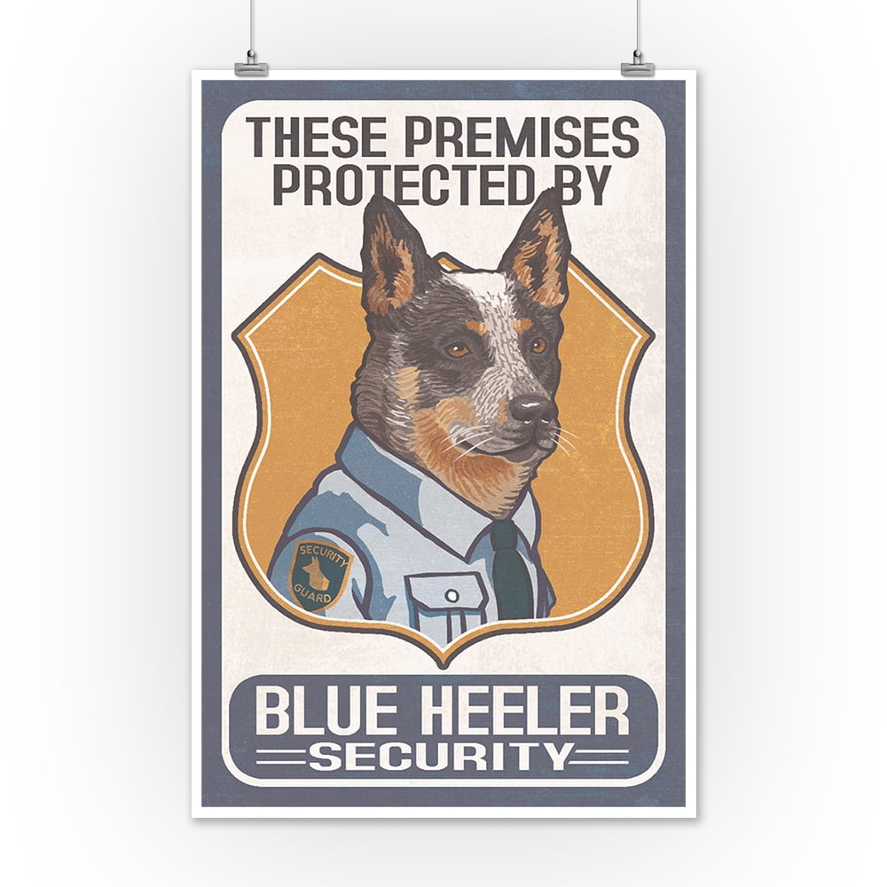 blue heeler arts