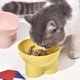 thumbnail image 4 of Venta caliente nuevo cuenco de comida para gatos de material PP con forma de pata de elefante, cuenco para perros, cuenco de alimentación para el cuello para gatos y perros, cuenco de alimentación uni, 4 of 5