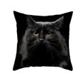 thumbnail image 3 of 2022 Pillowcase Cartoon Black Cat Print Peach Skin Animal Pillow Home Pillowcase, 3 of 5