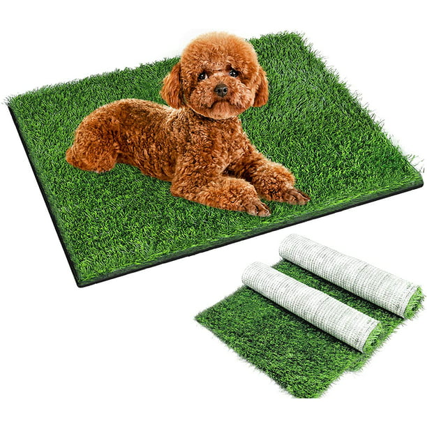 can dogs pee on artificial grass