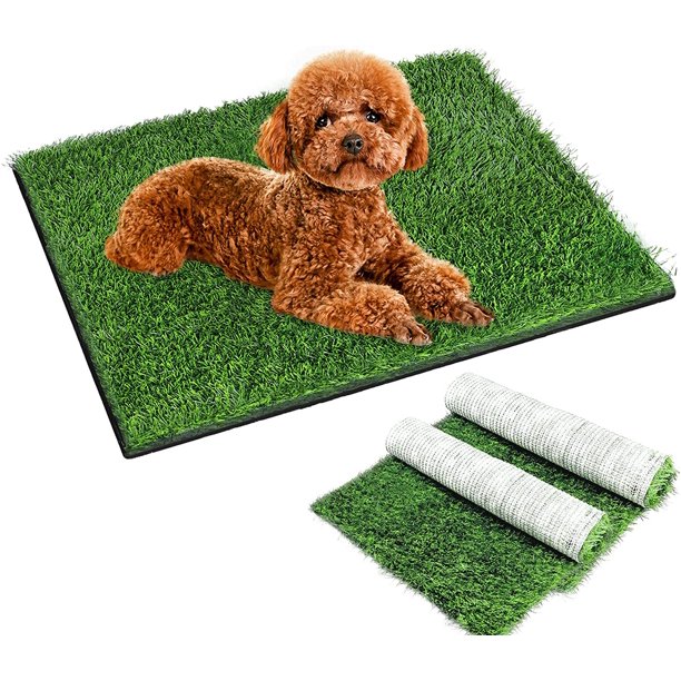 can dogs pee and poop on artificial grass