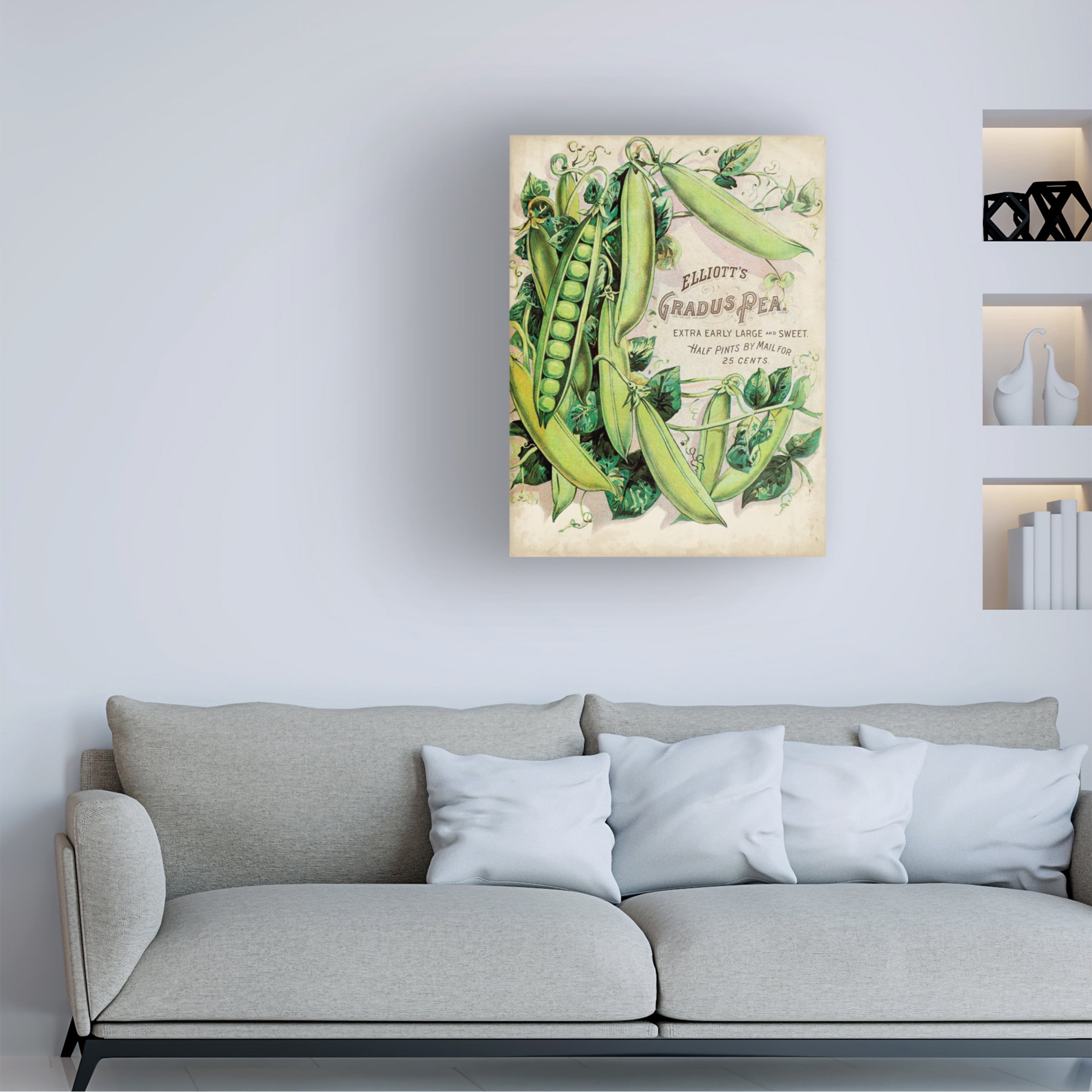 Unknown 'Antique Seed Packets V' Canvas Art