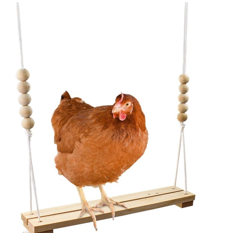 Wooden Chicken Swing Toy for Laying Hens & Poultry, Coop Toys for